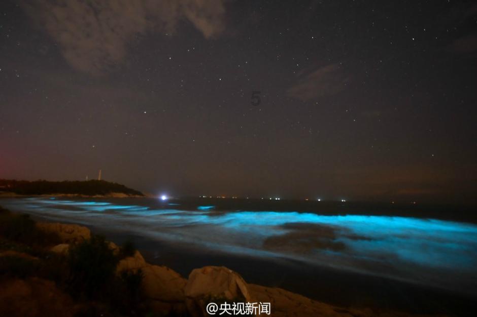 澳大利亚飞行员跳伞,意外挂到树上70多年,被找到时只剩白骨