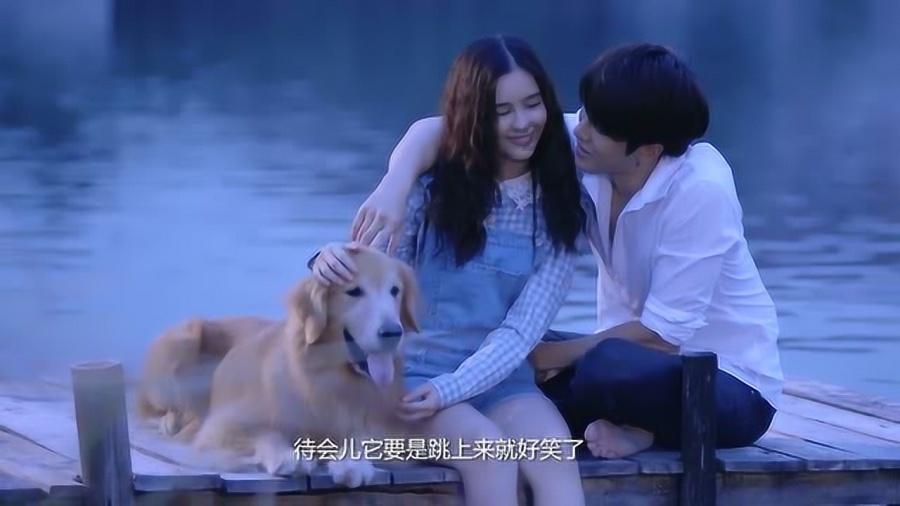 增额终身寿险值得买吗游戏画面