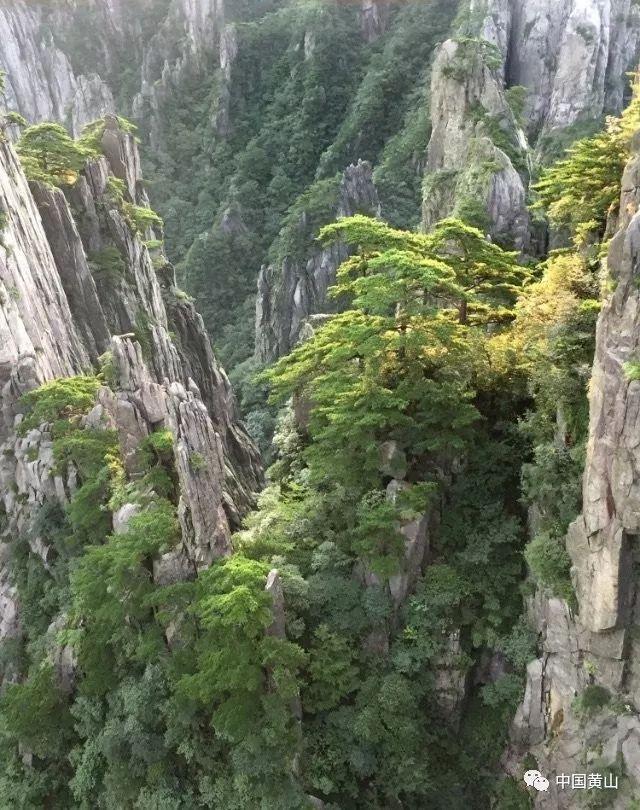 逗小猴开心系列194