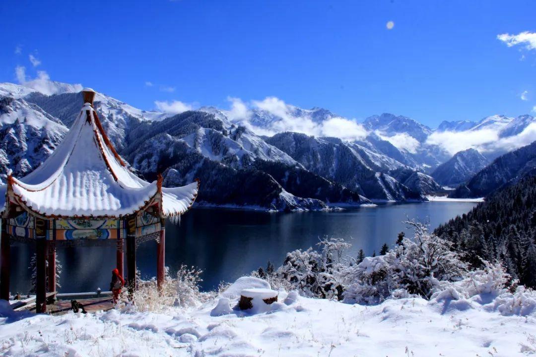 见习小魔女勇闯猪窝岛